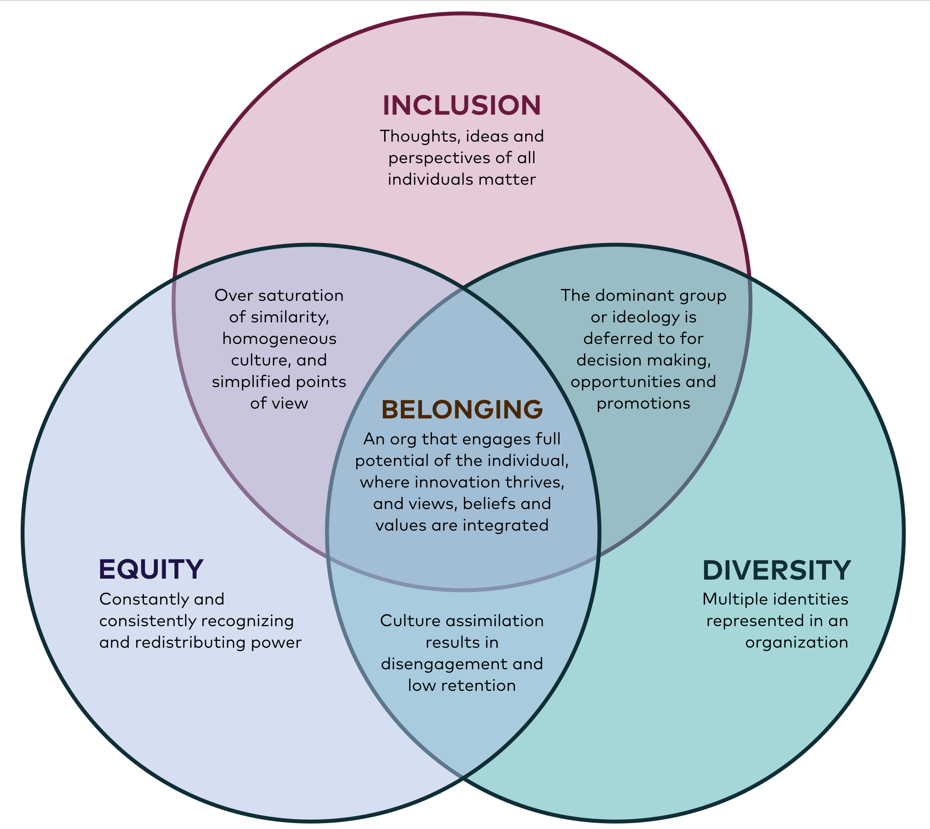 belonging-a-conversation-about-equity-diversity-and-inclusion