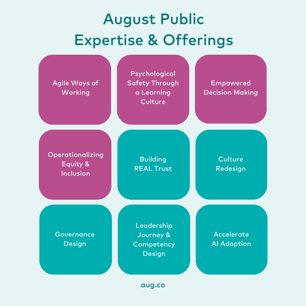 2024 Expertise & Offerings | August Public