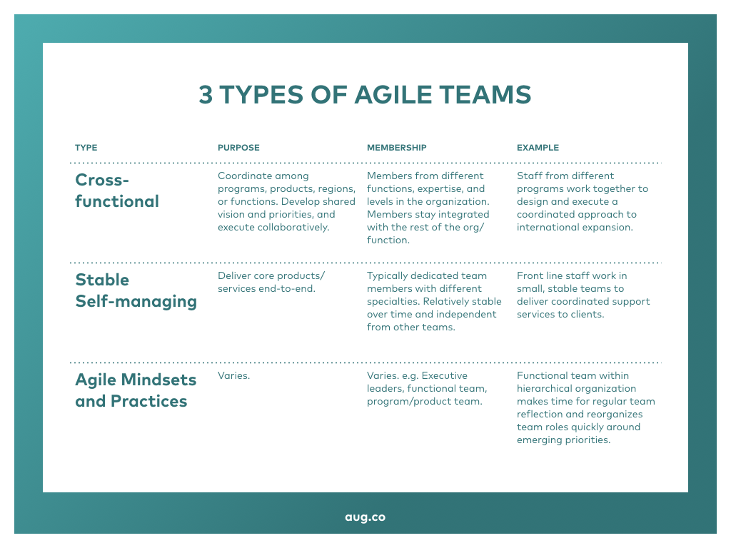 3 Types of Agile Teams.001