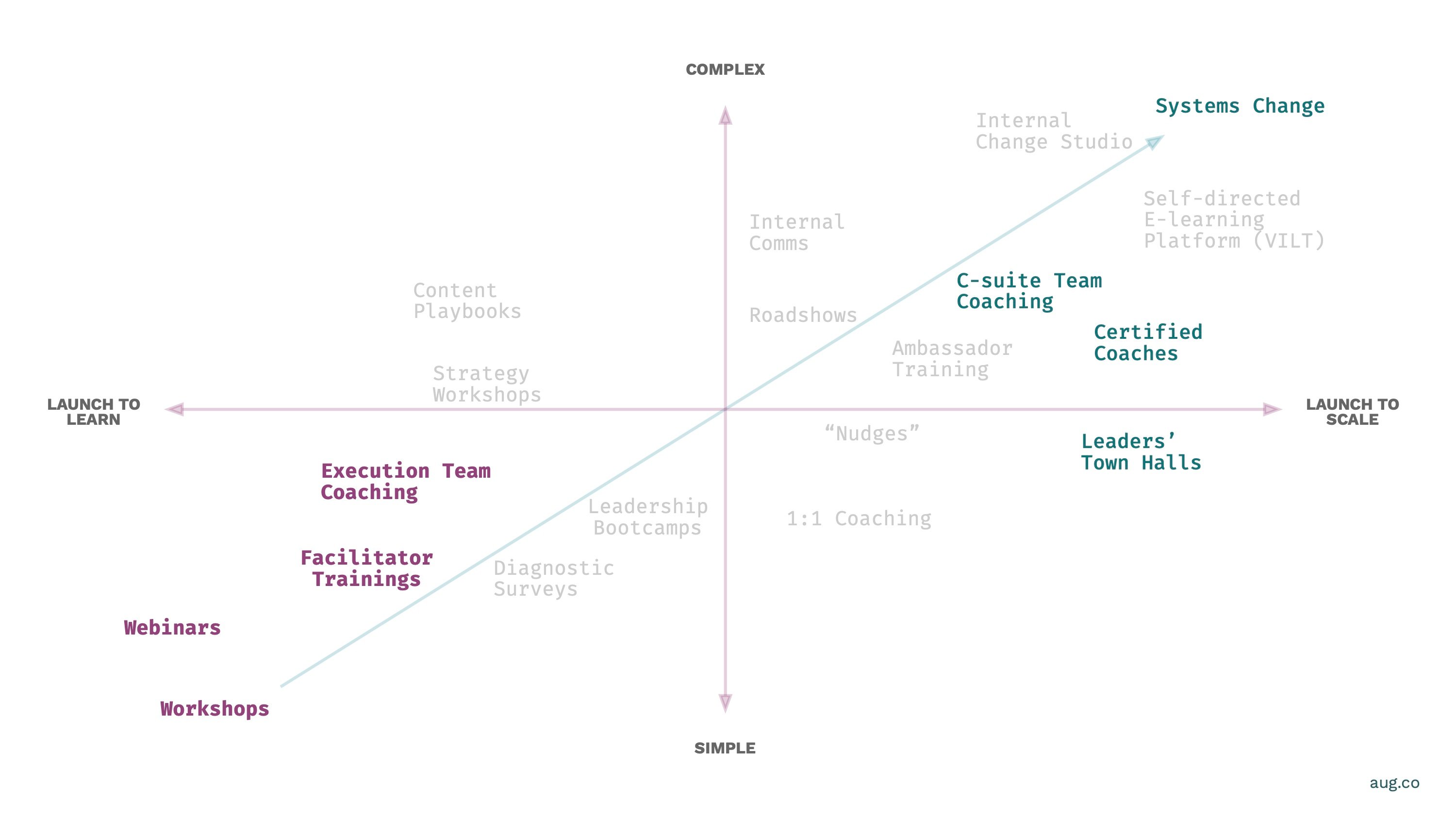 How August Scales Transformation - Activity Mapping