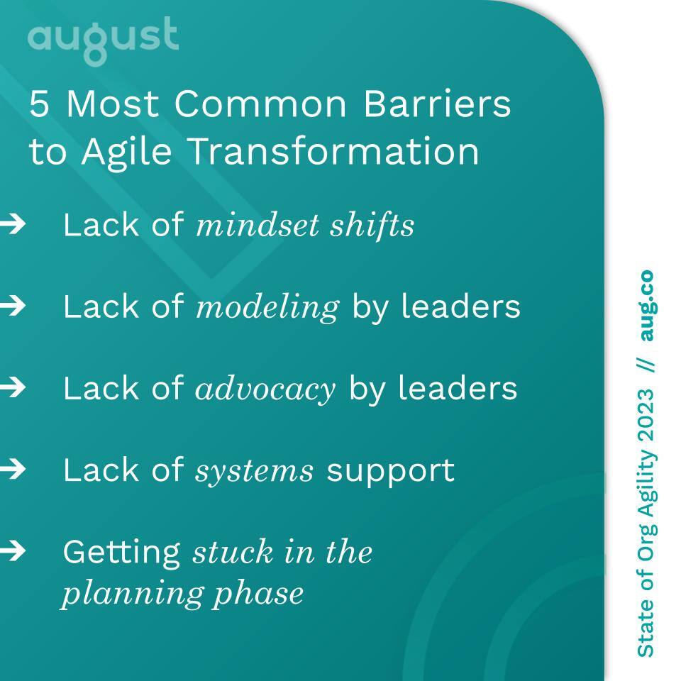 Successful Agile Transformation | August Public 13